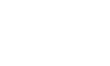 sebestapelan-tesari.cz